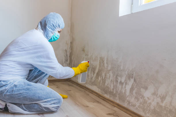 Hvac And Air Duct Mold Remediation inspection of HVAC system in Doylesburg